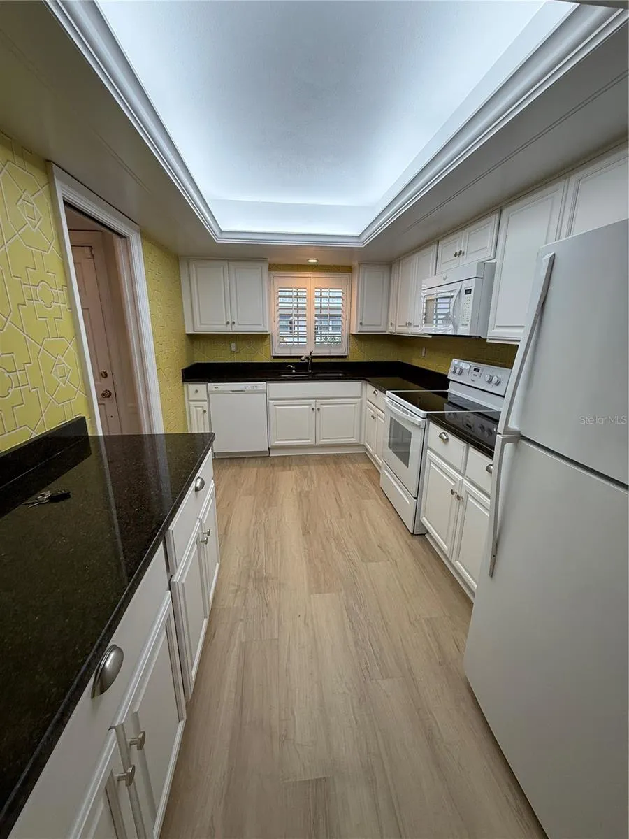 131 BLUFF VIEW DRIVE #104 Belleair Bluffs, FL 33770