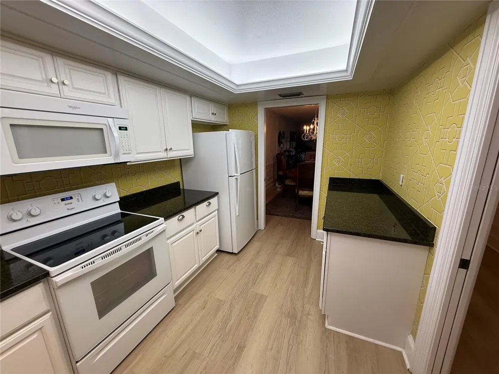 131 BLUFF VIEW DRIVE #104 Belleair Bluffs, FL 33770