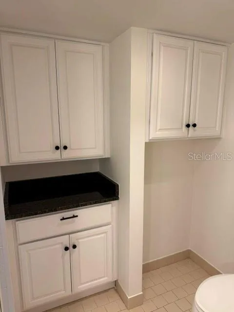 131 BLUFF VIEW DRIVE #104 Belleair Bluffs, FL 33770
