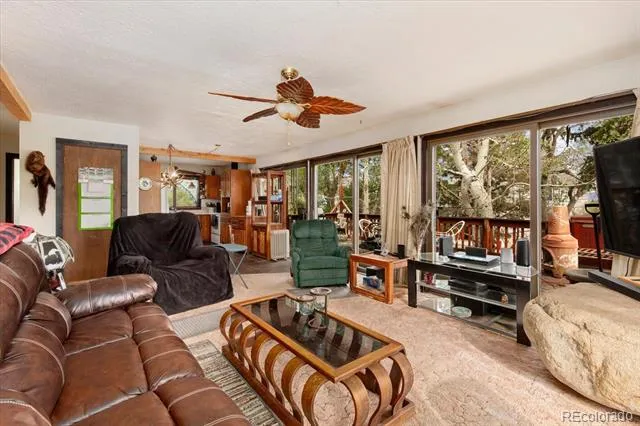 519 Cedar Street Buena Vista, CO 81211