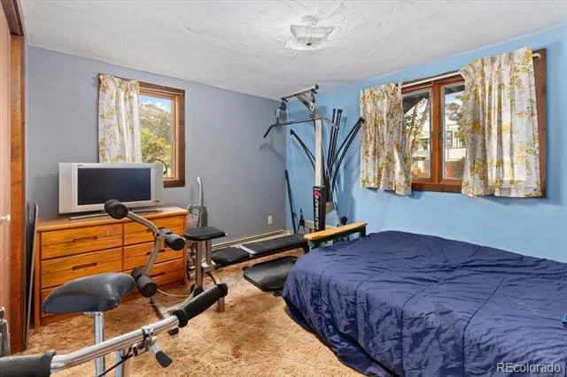 519 Cedar Street Buena Vista, CO 81211