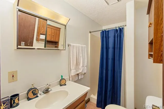 519 Cedar Street Buena Vista, CO 81211