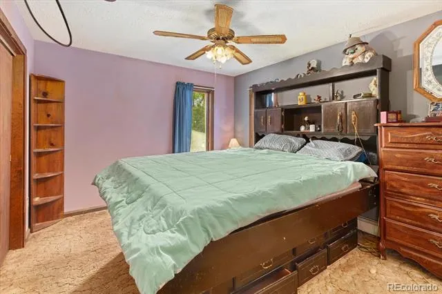 519 Cedar Street Buena Vista, CO 81211