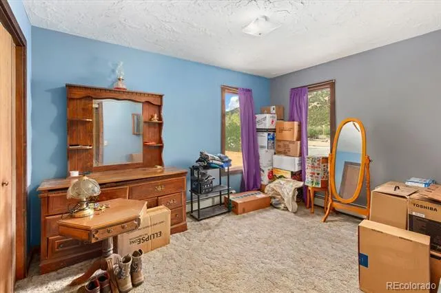 519 Cedar Street Buena Vista, CO 81211
