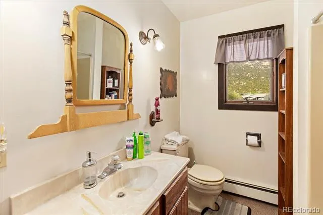 519 Cedar Street Buena Vista, CO 81211