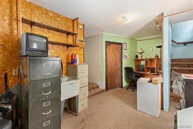 519 Cedar Street Buena Vista, CO 81211