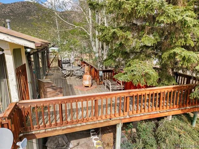 519 Cedar Street Buena Vista, CO 81211