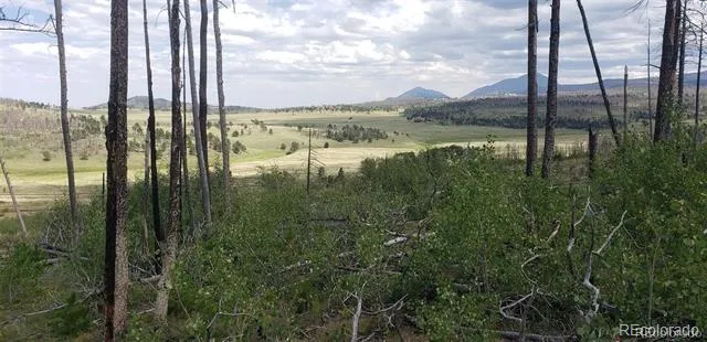 Address Not Shown Fort Garland, CO 81133