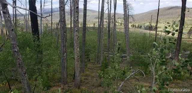 Address Not Shown Fort Garland, CO 81133