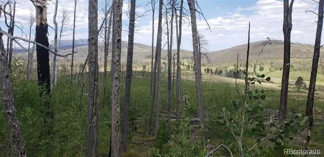 Address Not Shown Fort Garland, CO 81133