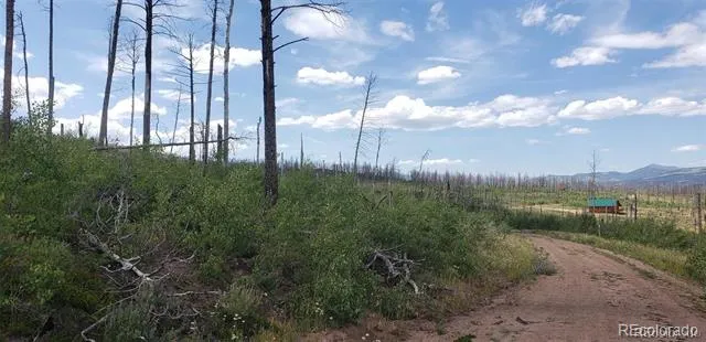 Address Not Shown Fort Garland, CO 81133