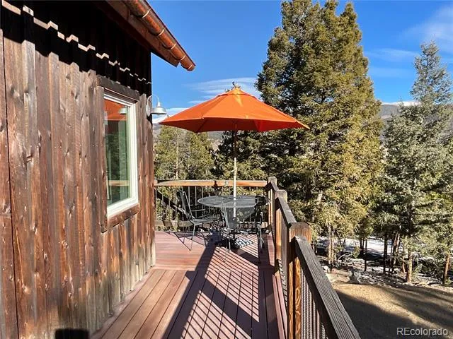 451 Ee Hill Drive Twin Lakes, CO 81251