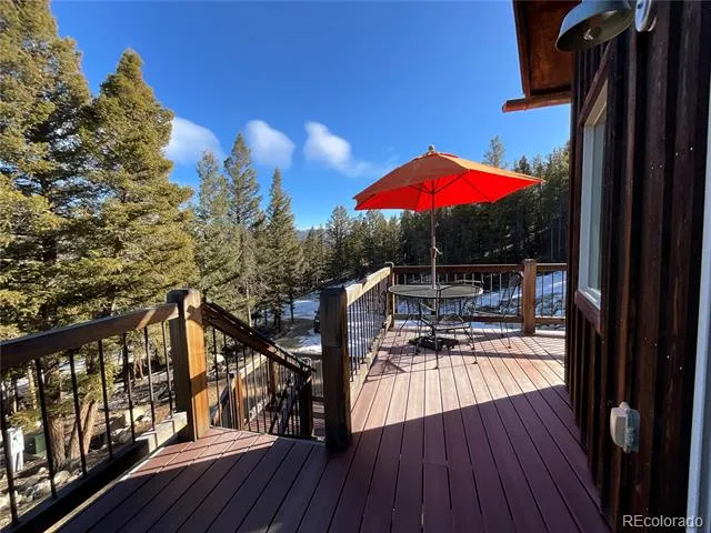 451 Ee Hill Drive Twin Lakes, CO 81251
