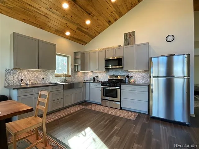 451 Ee Hill Drive Twin Lakes, CO 81251