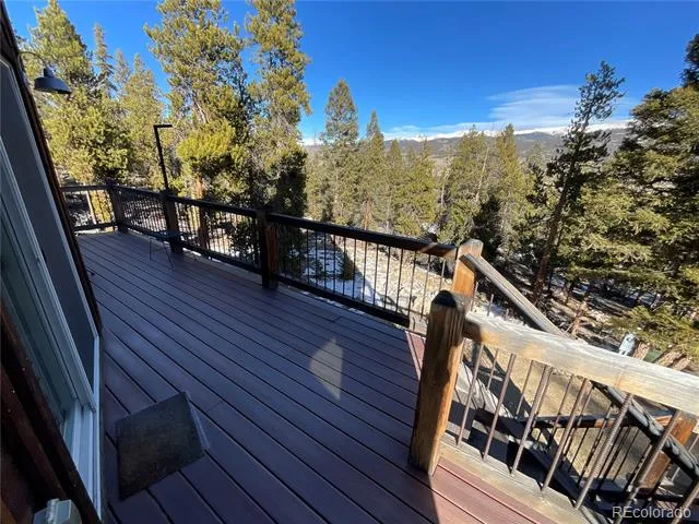 451 Ee Hill Drive Twin Lakes, CO 81251