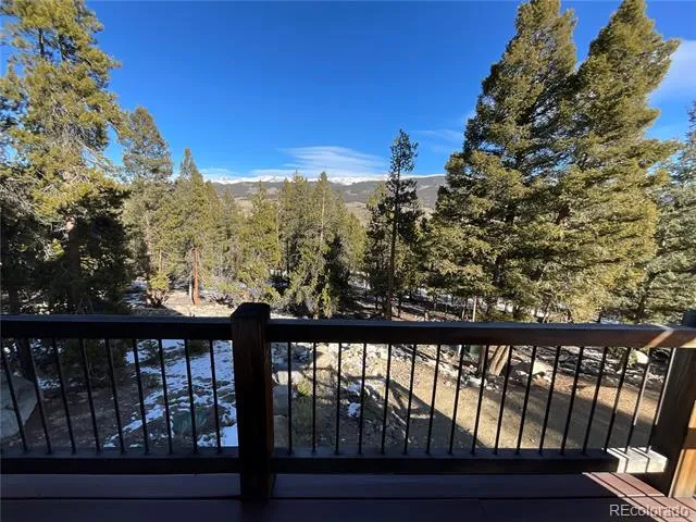 451 Ee Hill Drive Twin Lakes, CO 81251