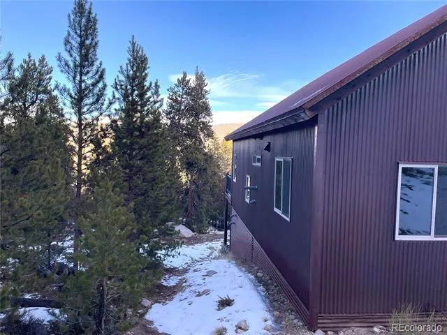 451 Ee Hill Drive Twin Lakes, CO 81251