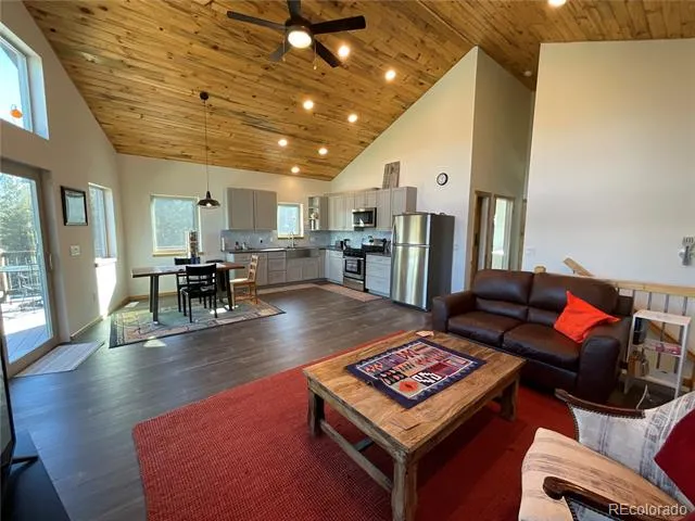 451 Ee Hill Drive Twin Lakes, CO 81251