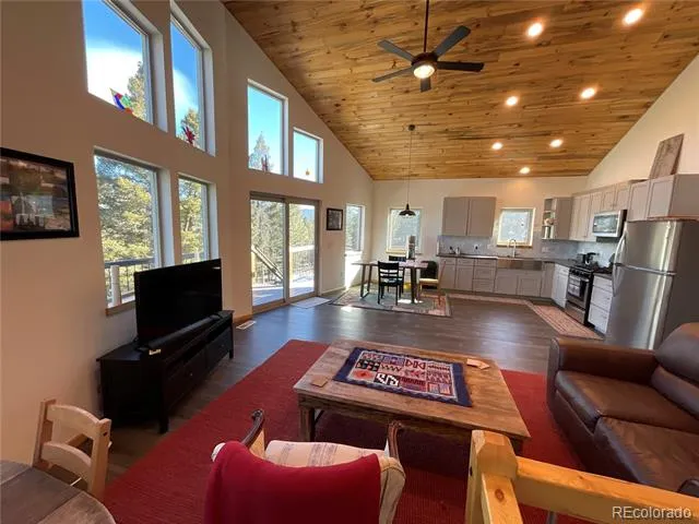 451 Ee Hill Drive Twin Lakes, CO 81251