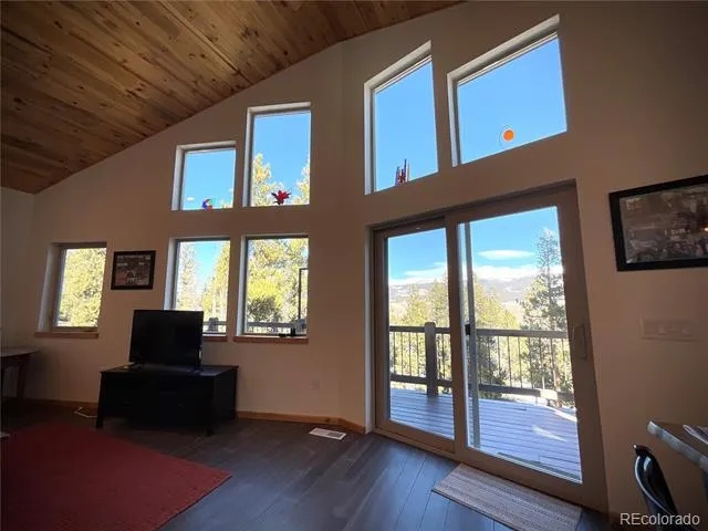 451 Ee Hill Drive Twin Lakes, CO 81251