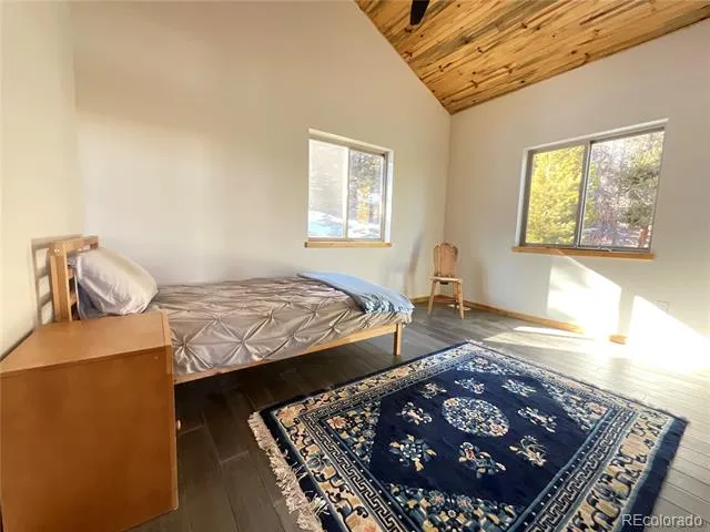 451 Ee Hill Drive Twin Lakes, CO 81251