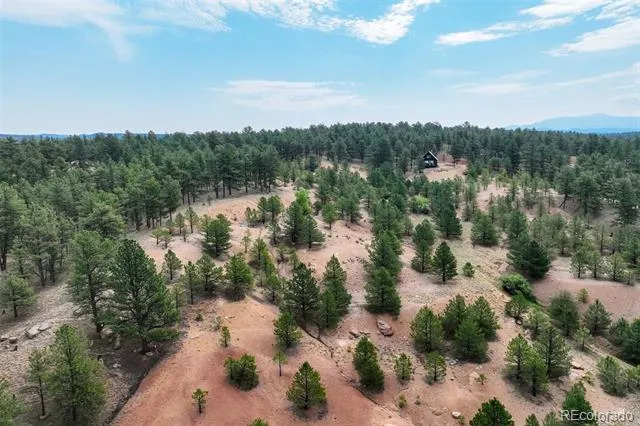 39 Reed Drive Florissant, CO 80816