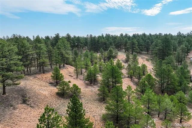 39 Reed Drive Florissant, CO 80816