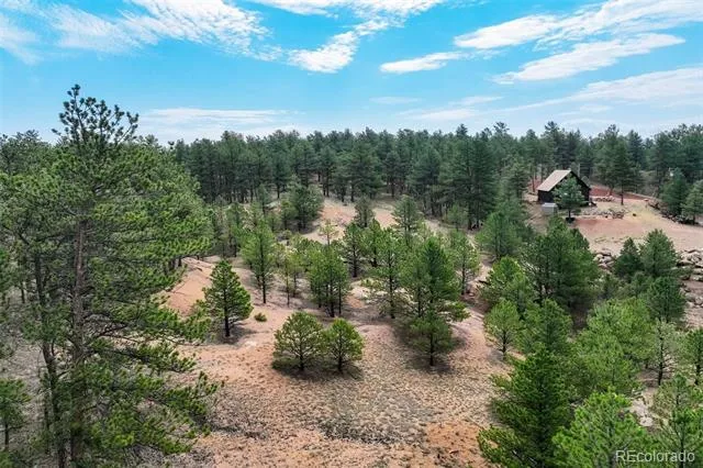 39 Reed Drive Florissant, CO 80816