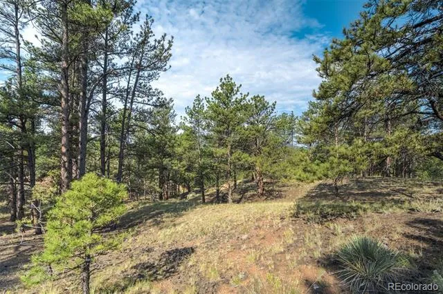 39 Reed Drive Florissant, CO 80816