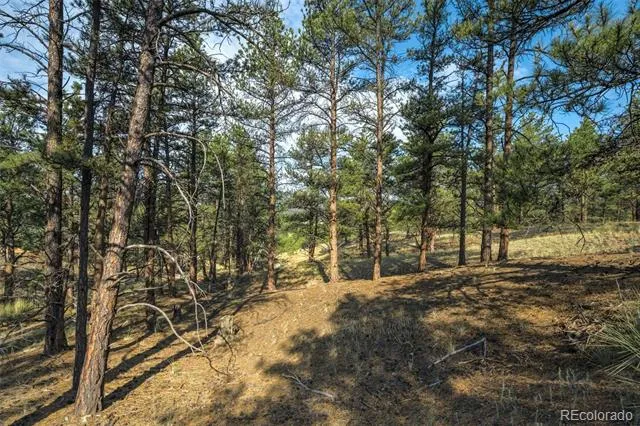 39 Reed Drive Florissant, CO 80816