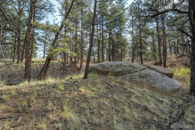 39 Reed Drive Florissant, CO 80816