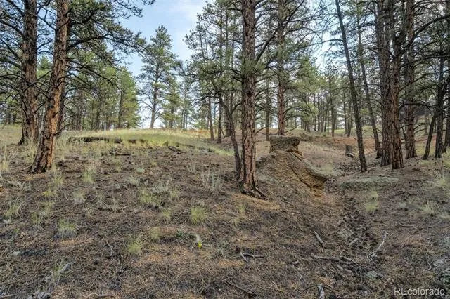 39 Reed Drive Florissant, CO 80816