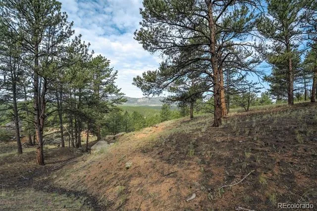 39 Reed Drive Florissant, CO 80816