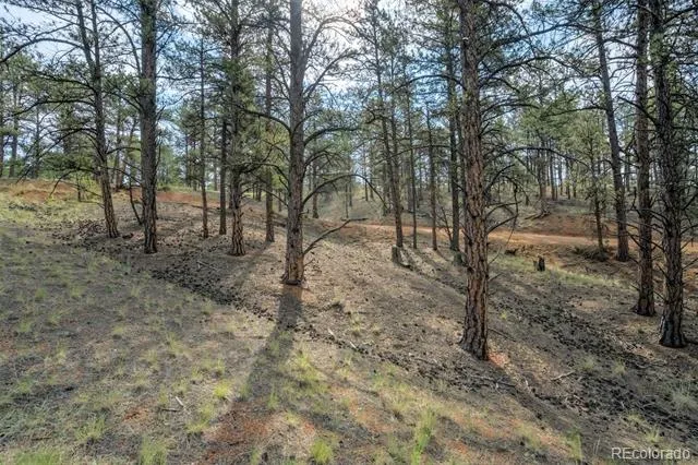 39 Reed Drive Florissant, CO 80816