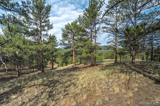 39 Reed Drive Florissant, CO 80816