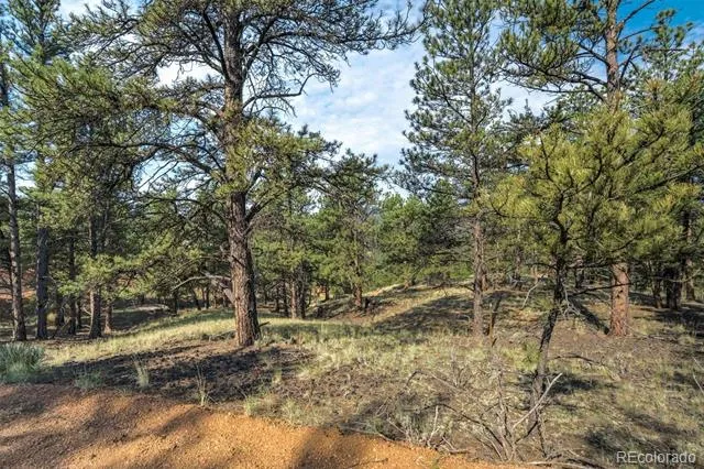 39 Reed Drive Florissant, CO 80816