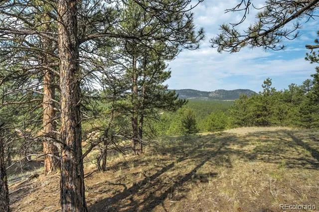 39 Reed Drive Florissant, CO 80816