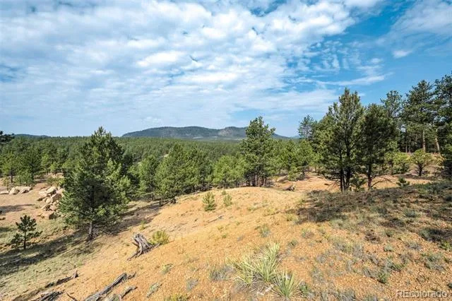 39 Reed Drive Florissant, CO 80816