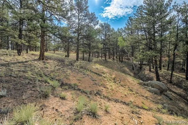 39 Reed Drive Florissant, CO 80816