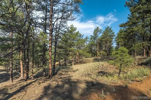 39 Reed Drive Florissant, CO 80816