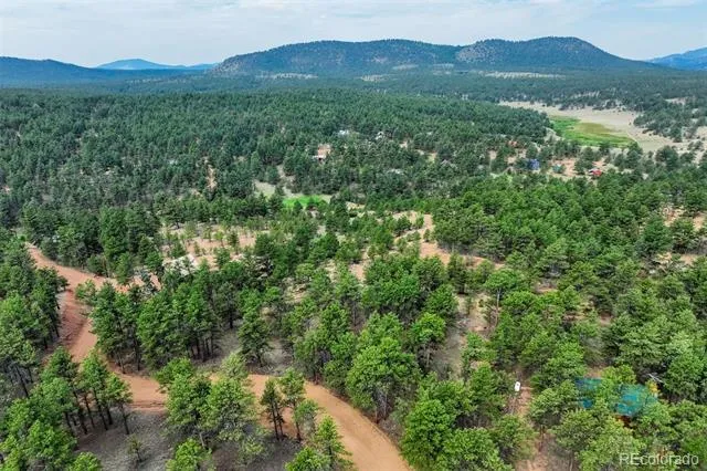 39 Reed Drive Florissant, CO 80816