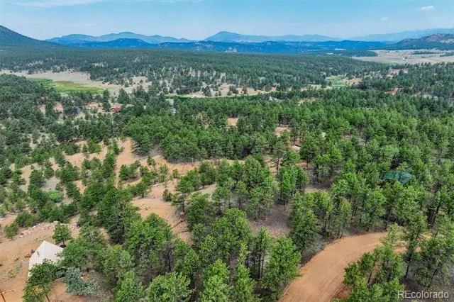 39 Reed Drive Florissant, CO 80816