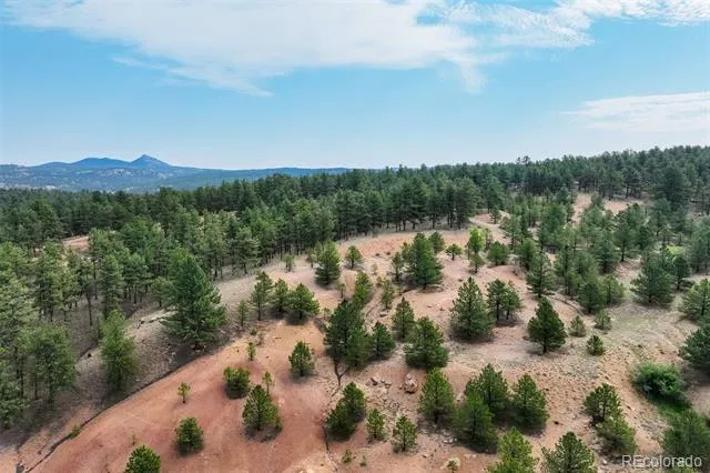 39 Reed Drive Florissant, CO 80816