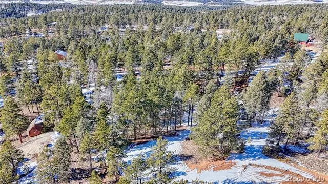 79 Huntsman Circle Florissant, CO 80816