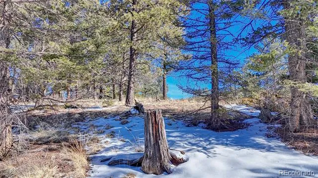 79 Huntsman Circle Florissant, CO 80816