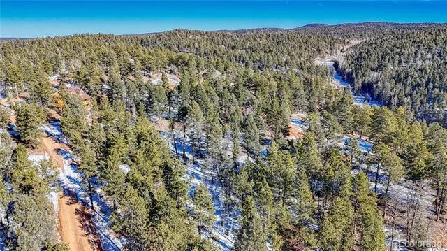 79 Huntsman Circle Florissant, CO 80816
