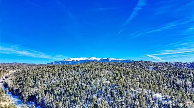 79 Huntsman Circle Florissant, CO 80816