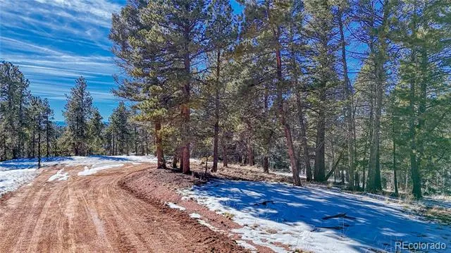 79 Huntsman Circle Florissant, CO 80816