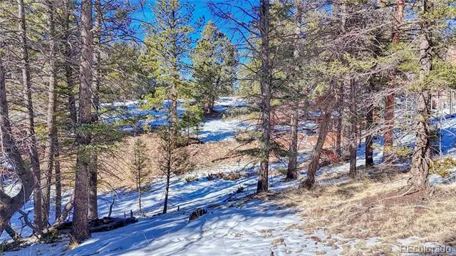 79 Huntsman Circle Florissant, CO 80816