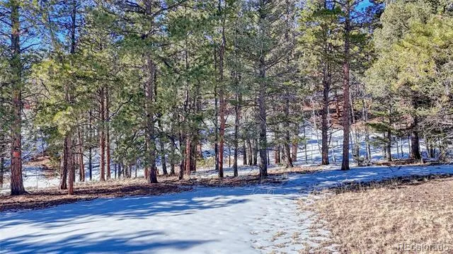 79 Huntsman Circle Florissant, CO 80816